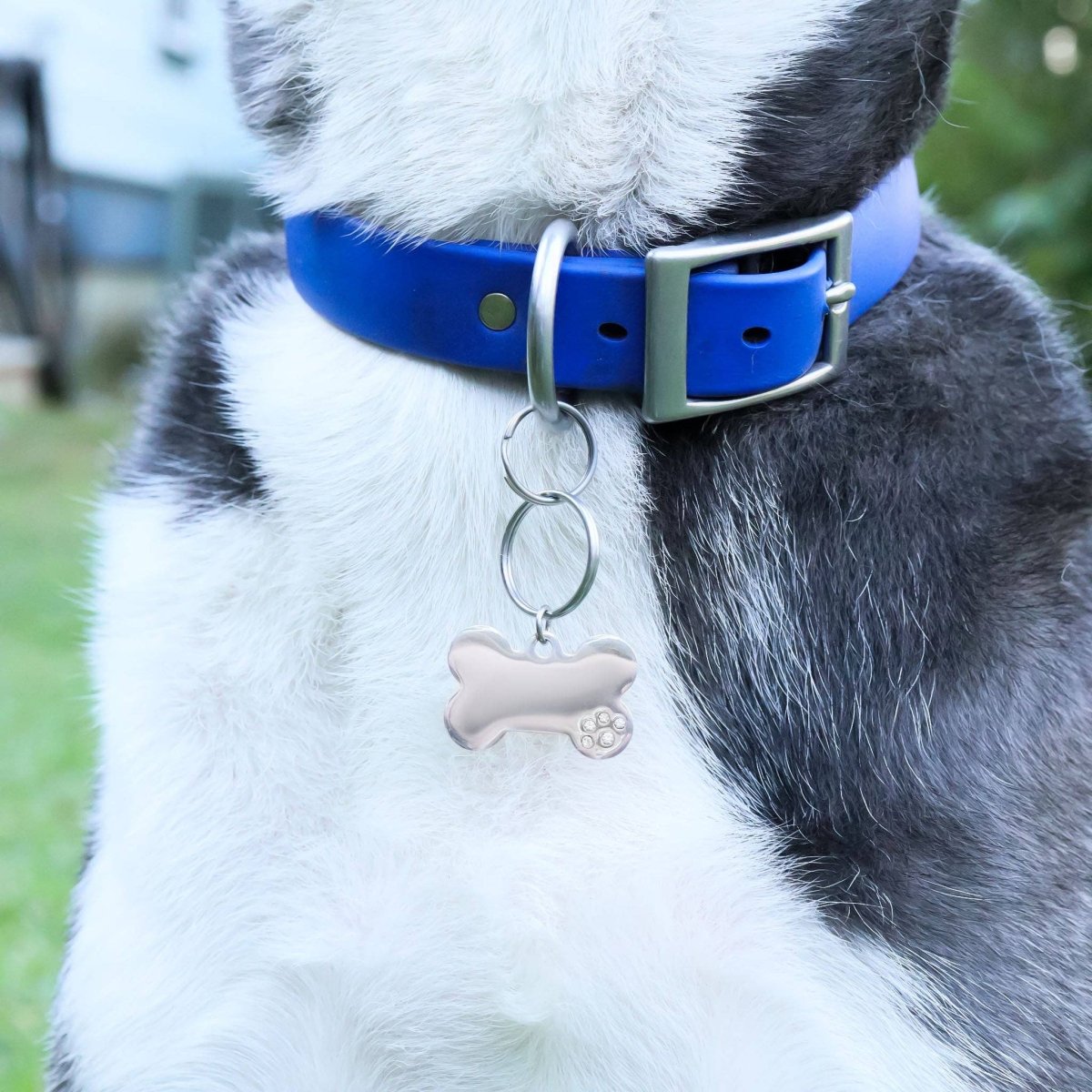 18K Gold PVD Blank Stainless Steel Dog Bone with CZ Stone Paw Pet Tag