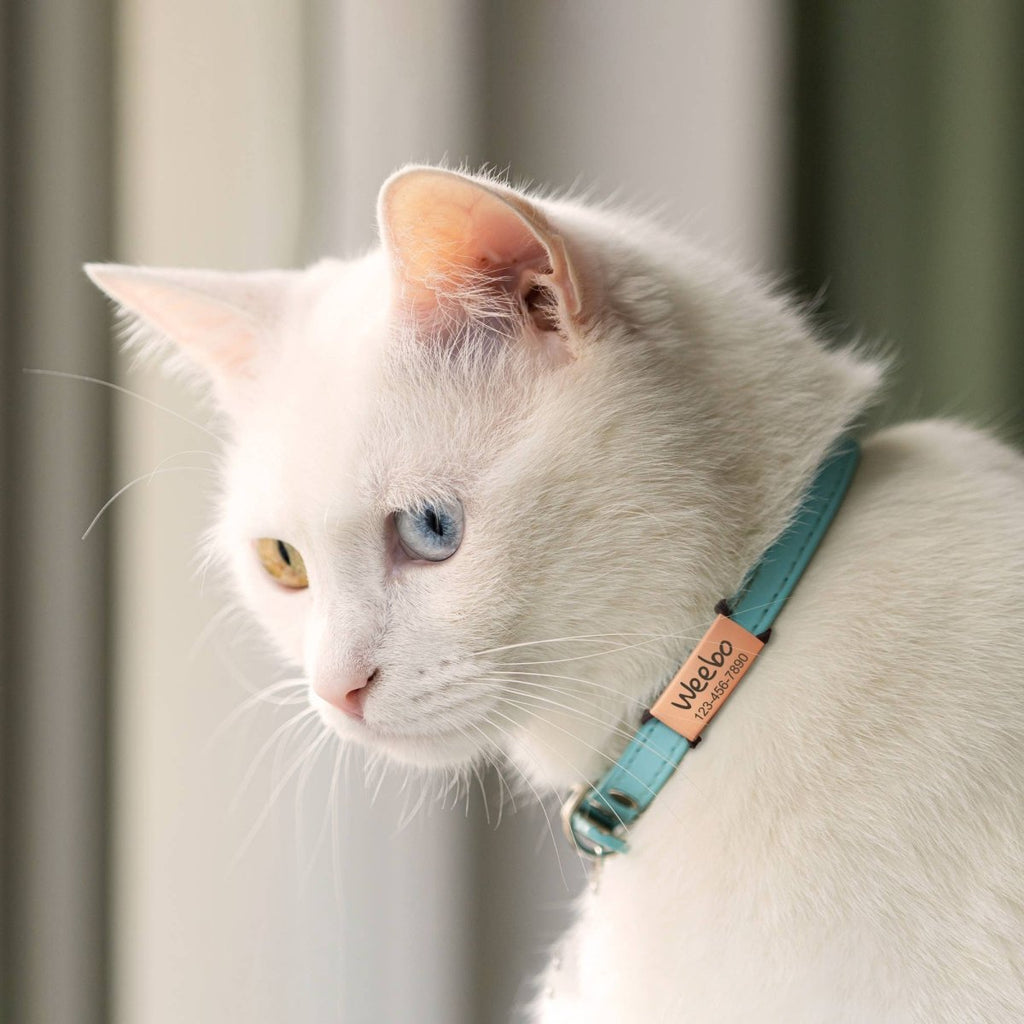Custom Pet Tags for Dogs and Cats - Slide on Pet ID Tags