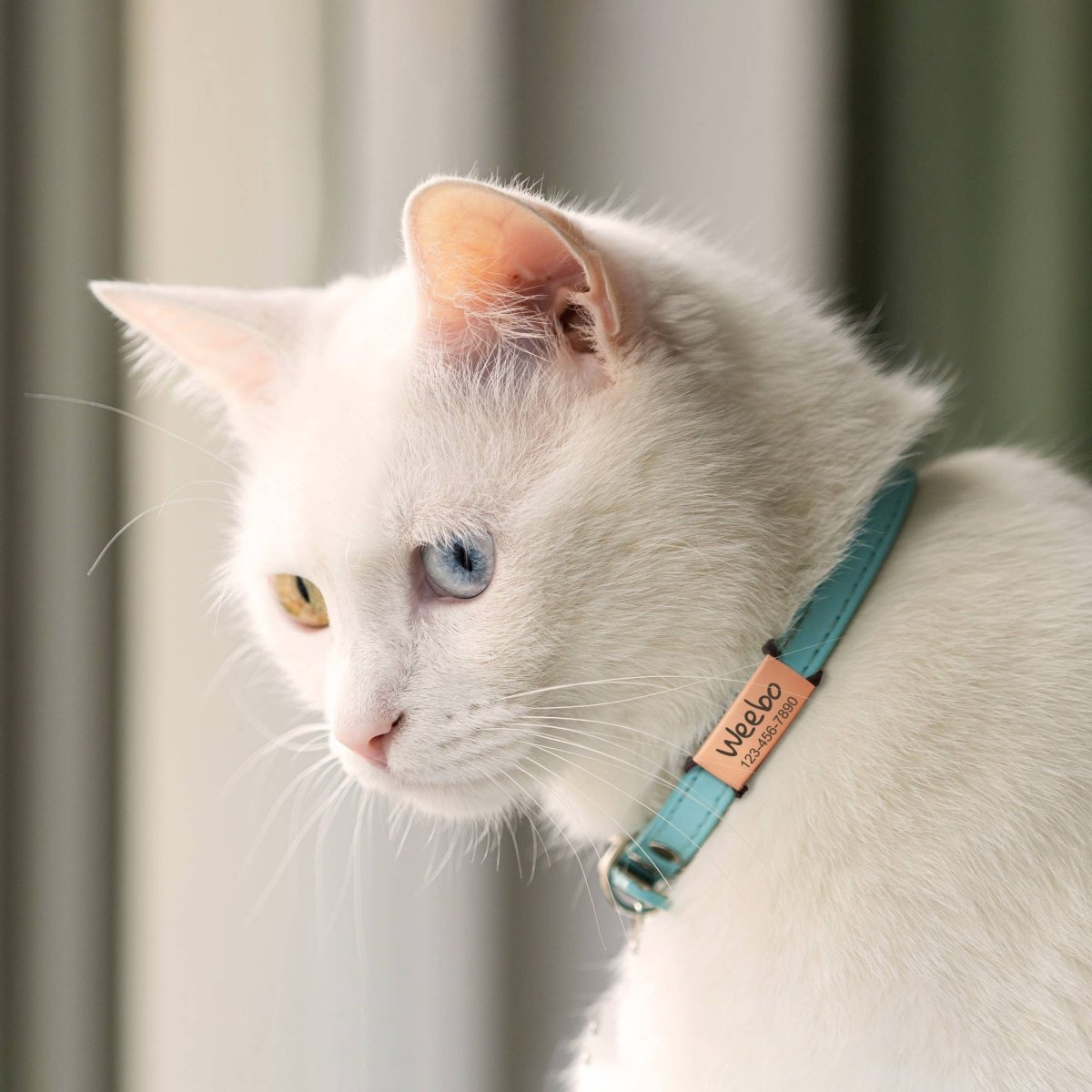 Custom Pet Tags for Dogs and Cats - Slide on Pet ID Tags