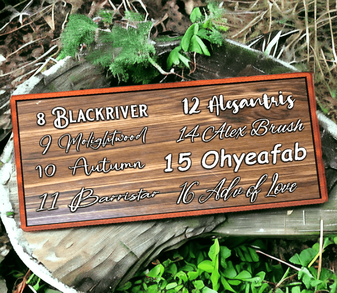Custom Wood Sign | Family Name Sign | Last Name Sign | Personalized Wedding Gift | Anniversary Gift | Established Sign | Wedding Sign Decor