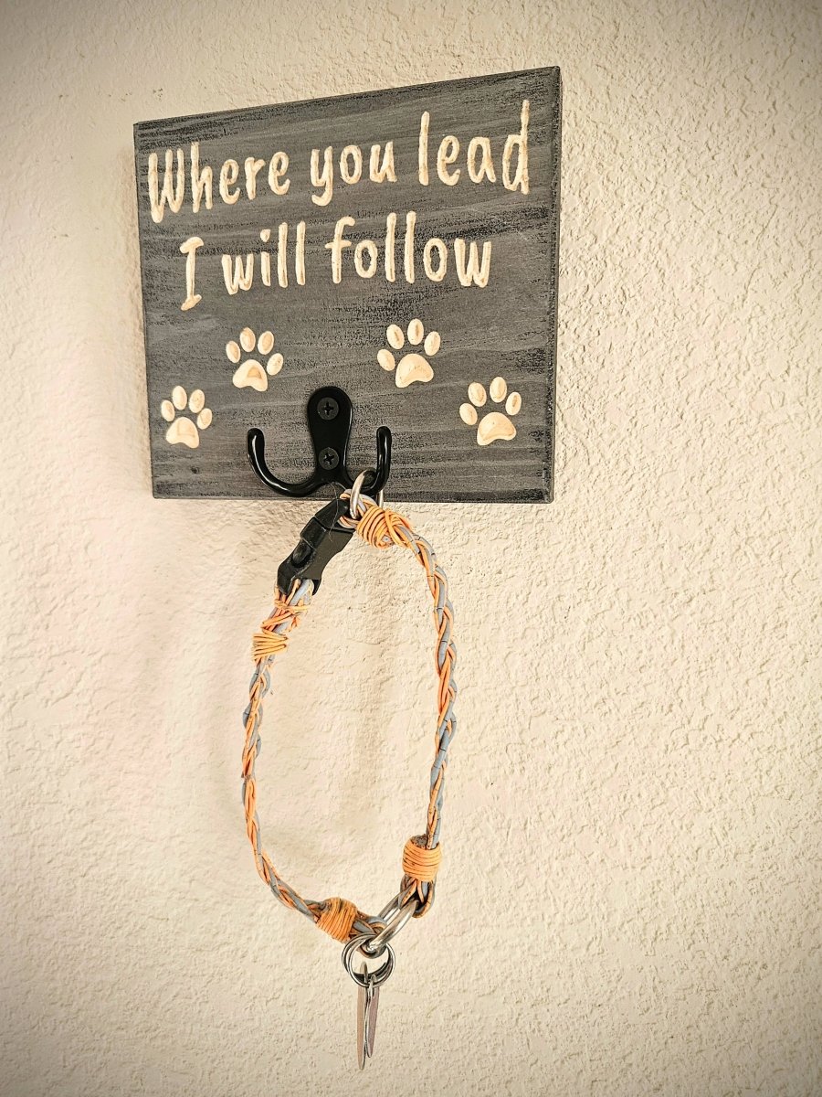 CozyHooks - Set of 2 Modern Leash Hooks for a Tidy Home