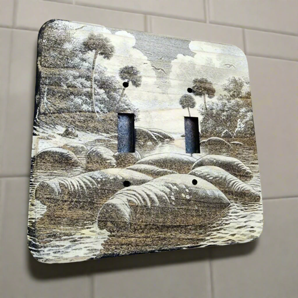 Light Switch Cover Double Wood Hand Made Engraved Country Kitchen Art