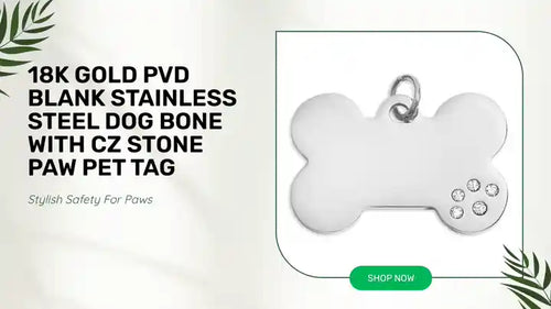 18K Gold PVD Blank Stainless Steel Dog Bone with CZ Stone Paw Pet Tag by@Outfy