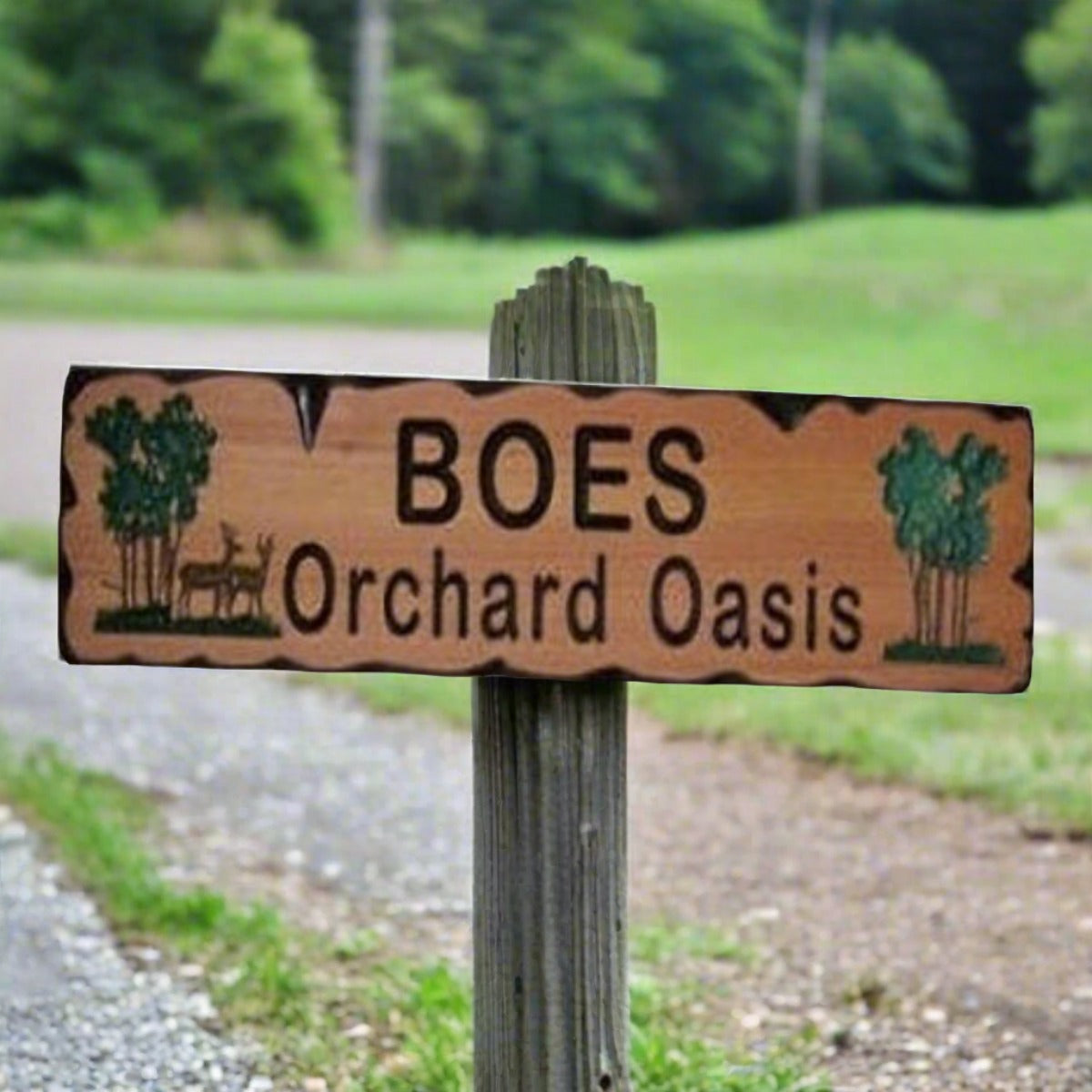 Wood Carved Rectangle Sign designed for a Great gift for Him or Her Address Home Ranch Sign